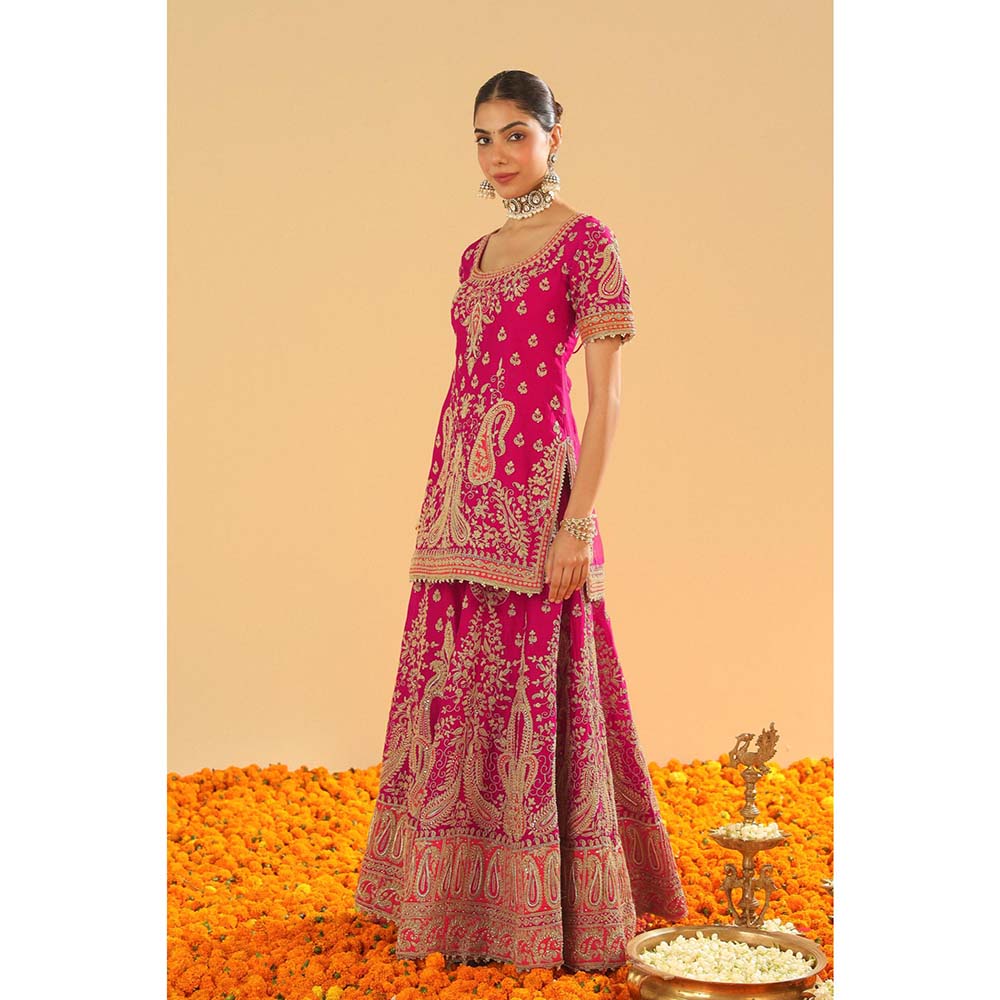 Sheetal Batra Pink Kurti with Sharara and Dupatta (Set of 3)