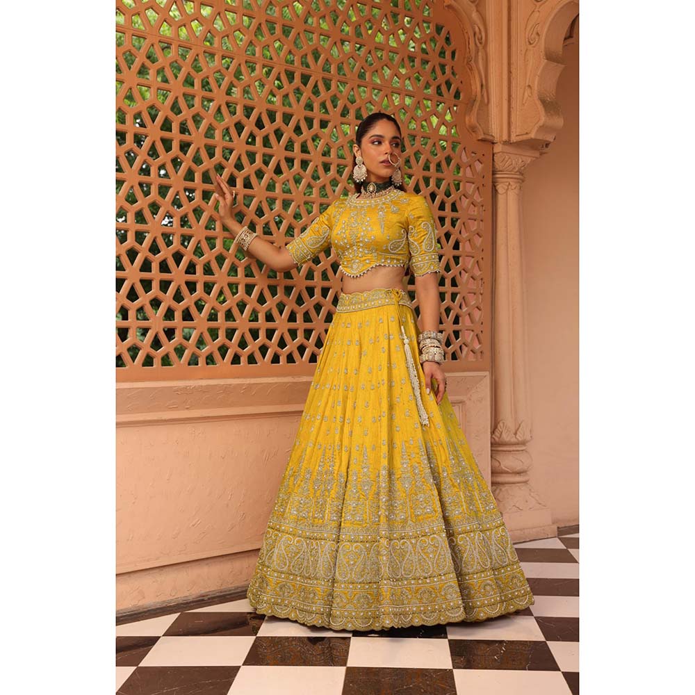 Sheetal Batra Uzma Mustard Lehenga with Blouse and Dupatta (Set of 3)