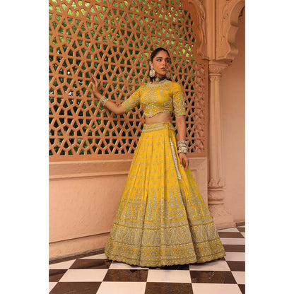 Sheetal Batra Uzma Mustard Lehenga with Blouse and Dupatta (Set of 3)