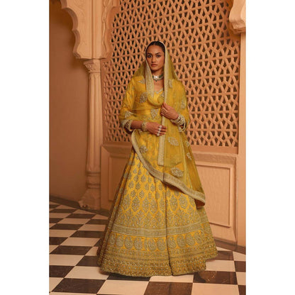 Sheetal Batra Noorali Mustard Lehenga with Choli and Dupatta (Set of 3)