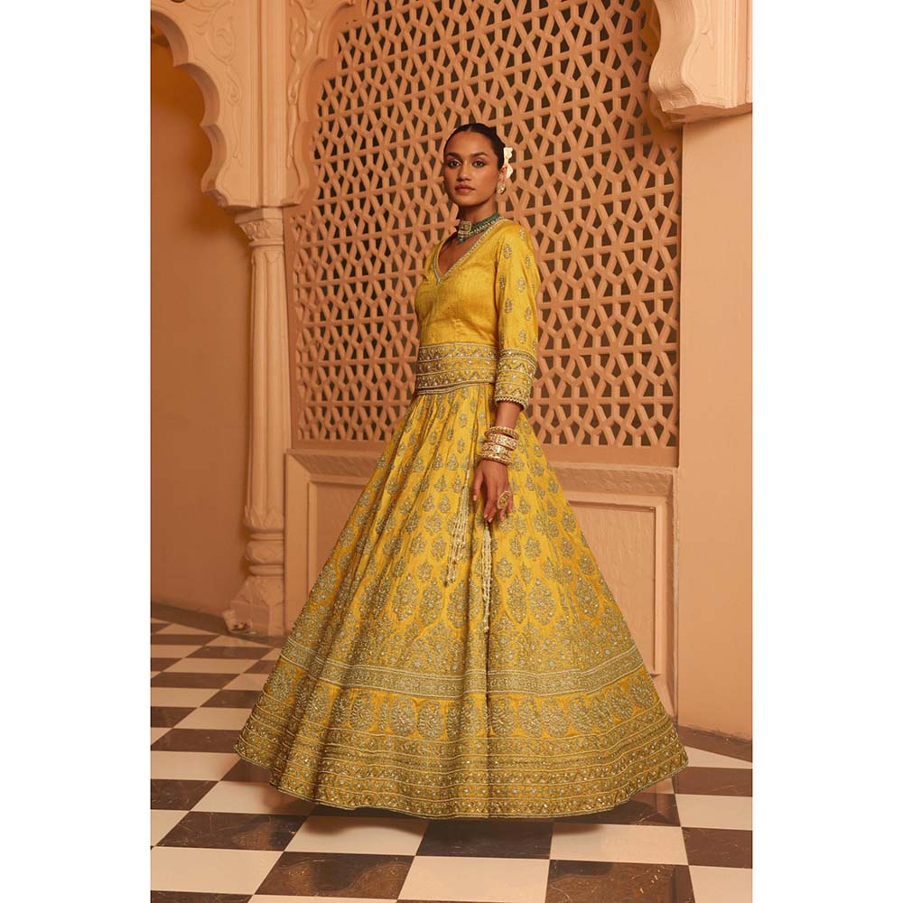 Sheetal Batra Noorali Mustard Lehenga with Choli and Dupatta (Set of 3)