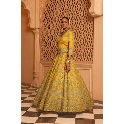 Sheetal Batra Noorali Mustard Lehenga with Choli and Dupatta (Set of 3)