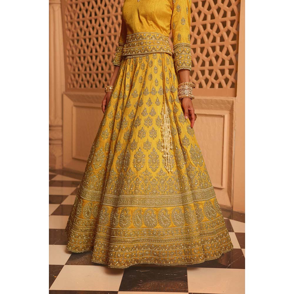 Sheetal Batra Noorali Mustard Lehenga with Choli and Dupatta (Set of 3)