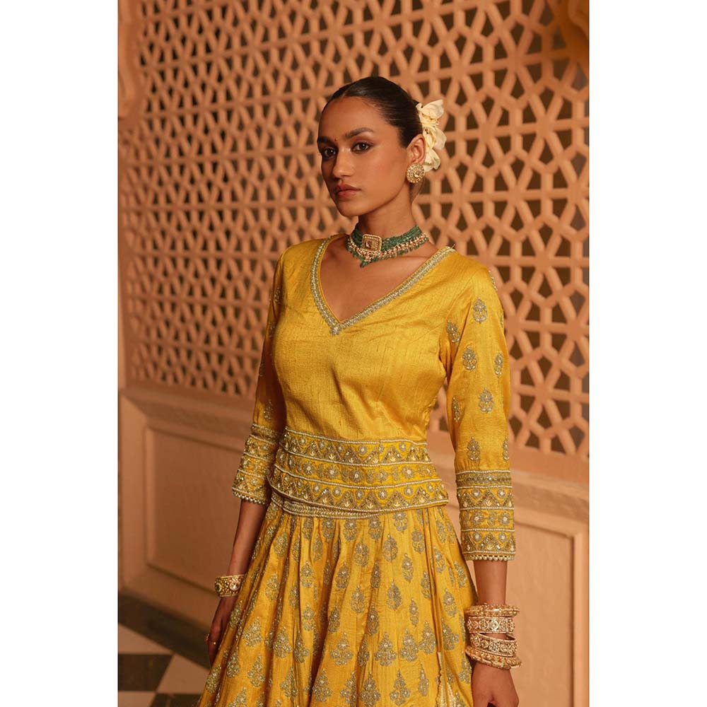 Sheetal Batra Noorali Mustard Lehenga with Choli and Dupatta (Set of 3)