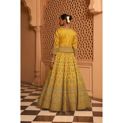 Sheetal Batra Noorali Mustard Lehenga with Choli and Dupatta (Set of 3)