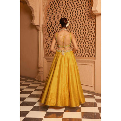 Sheetal Batra Mazhum Mustard Lehenga with Blouse and Dupatta (Set of 3)