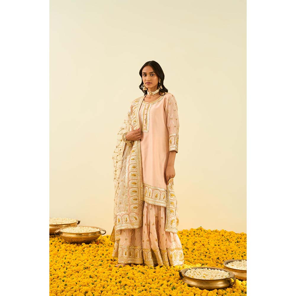 Sheetal Batra Pink Kurta with Sharara and Dupatta (Set of 3)