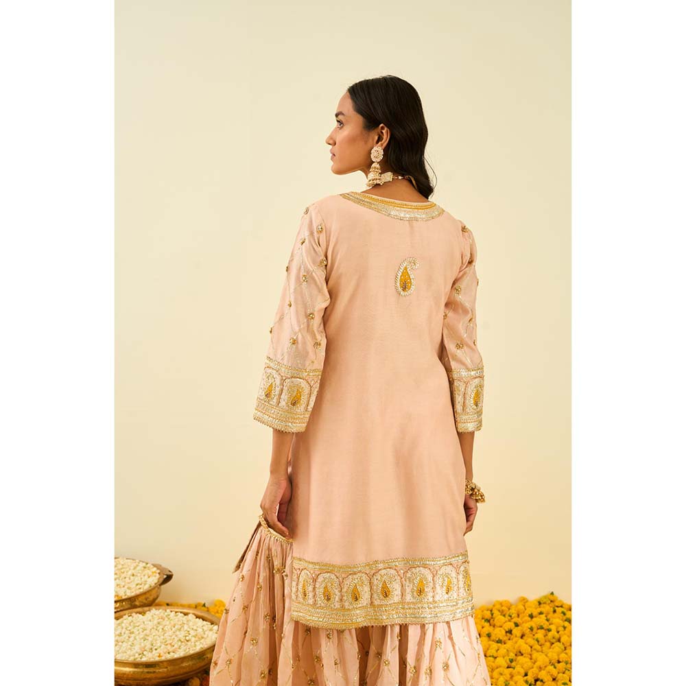 Sheetal Batra Pink Kurta with Sharara and Dupatta (Set of 3)