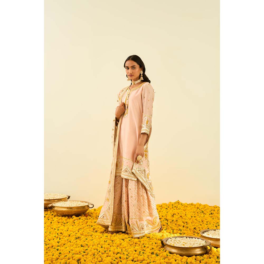 Sheetal Batra Pink Kurta with Sharara and Dupatta (Set of 3)