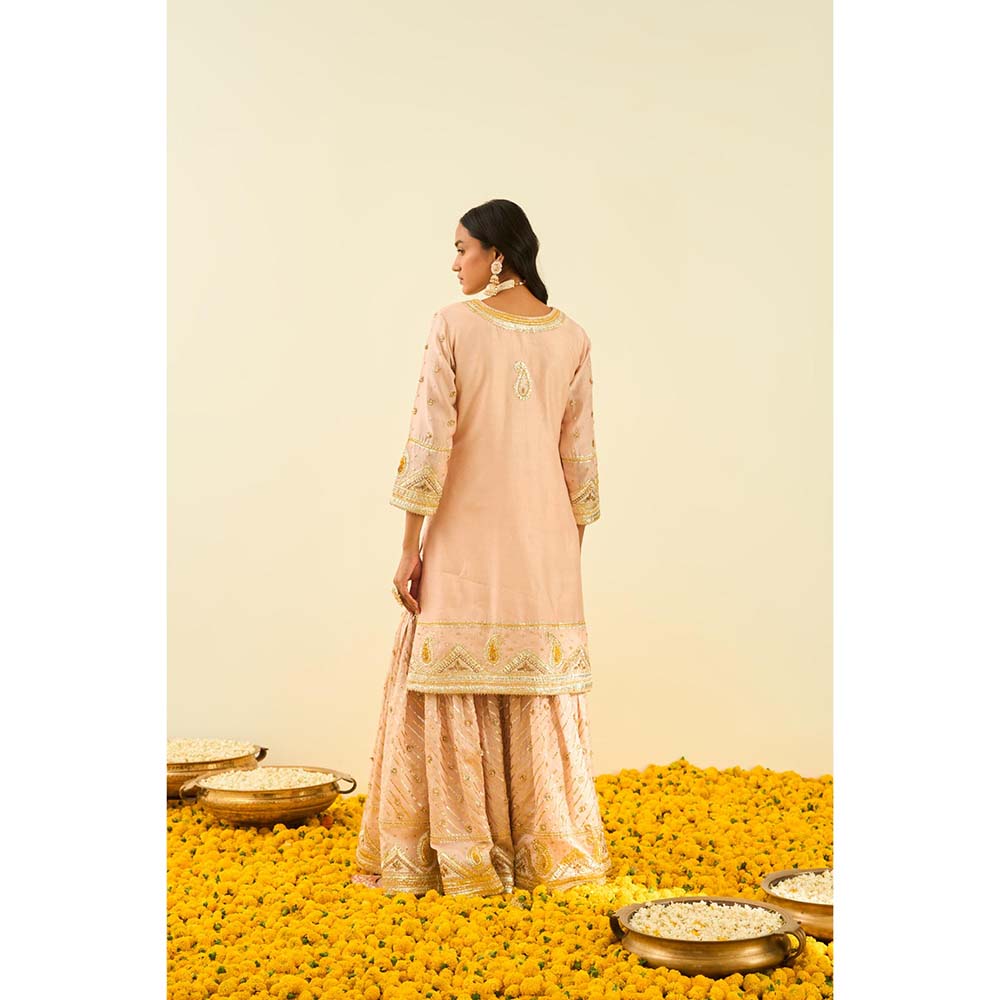 Sheetal Batra Pink Kurta with Sharara and Dupatta (Set of 3)
