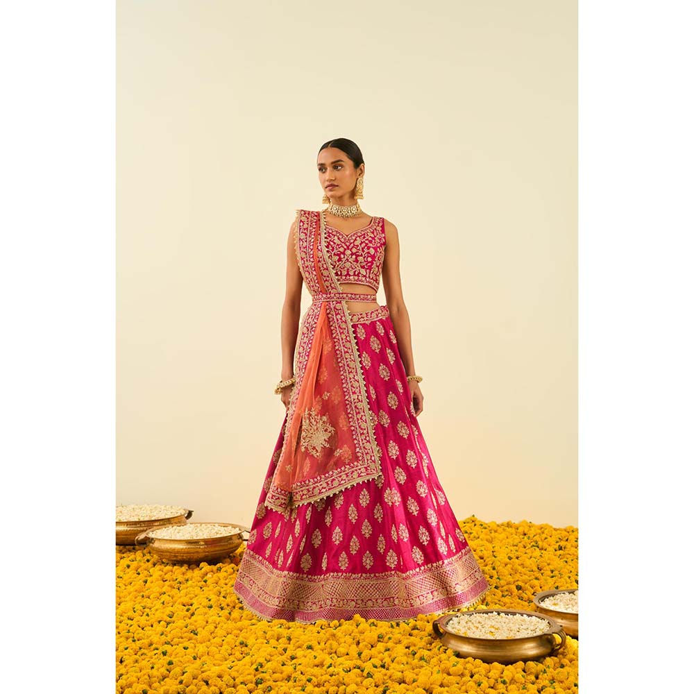 Sheetal Batra Pink Lehenga with Blouse, Dupatta and Belt (Set of 3)