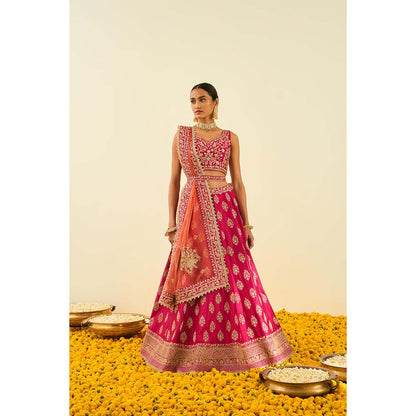 Sheetal Batra Pink Lehenga with Blouse, Dupatta and Belt (Set of 3)