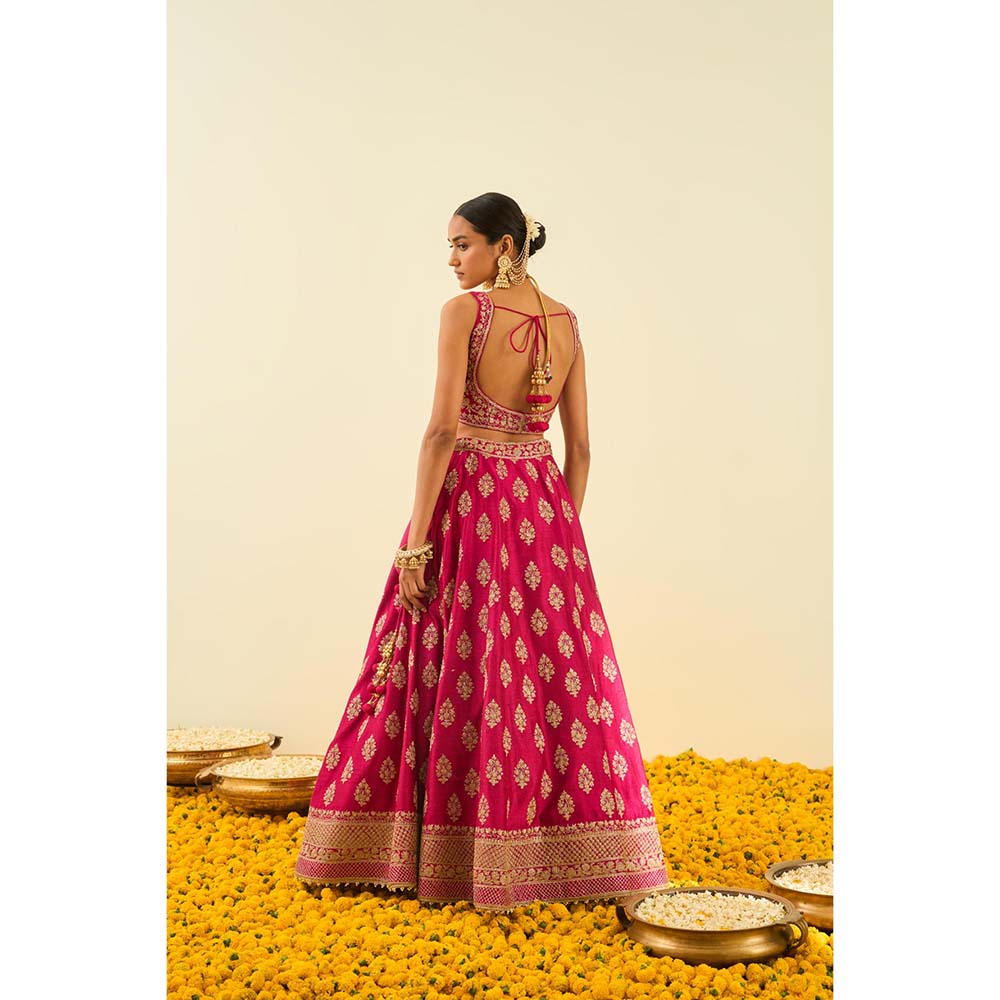 Sheetal Batra Pink Lehenga with Blouse, Dupatta and Belt (Set of 3)