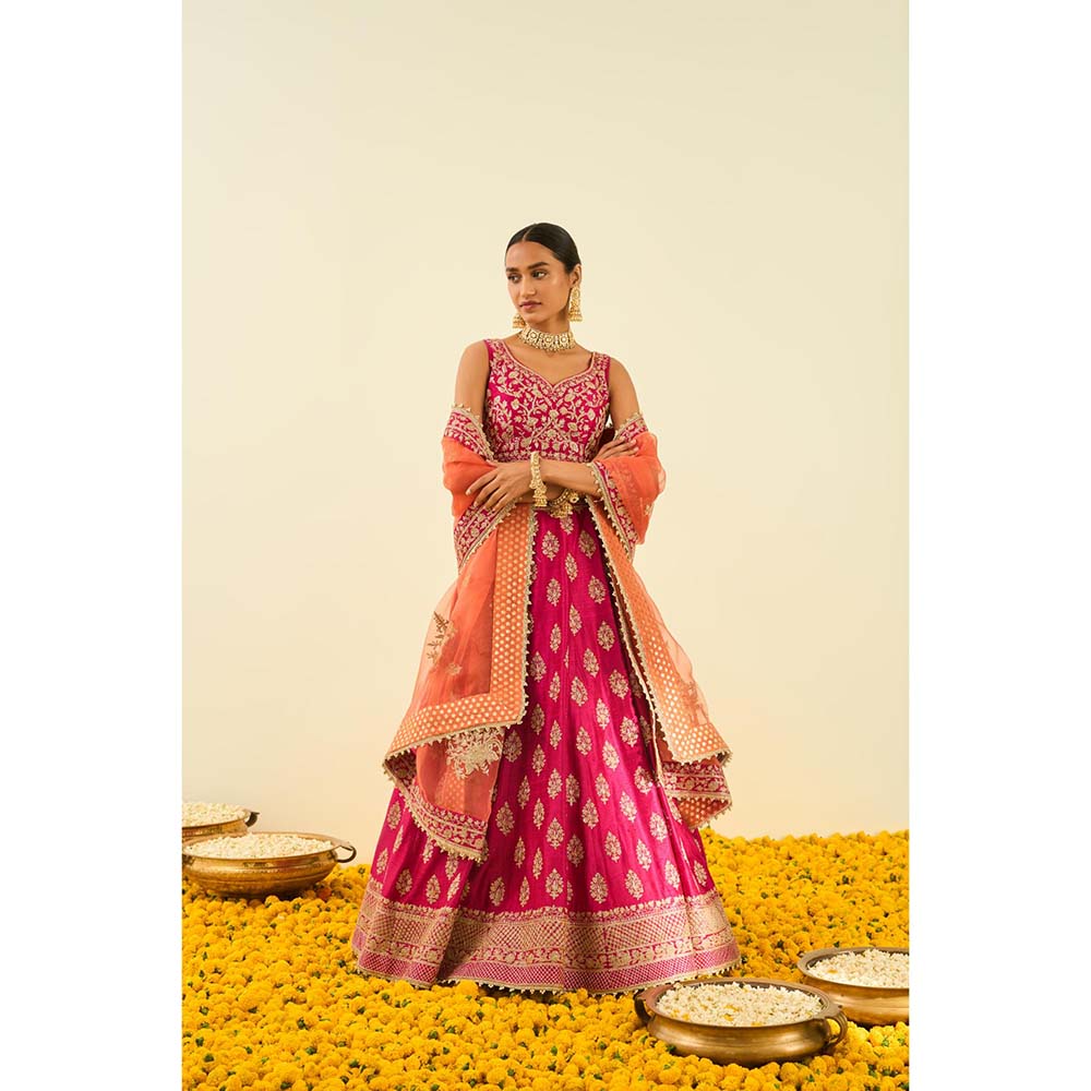 Sheetal Batra Pink Lehenga with Blouse, Dupatta and Belt (Set of 3)