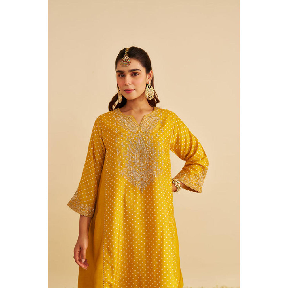 Sheetal Batra Kayra - Mustard Short Gathered Chauga With Salwar And Dupatta