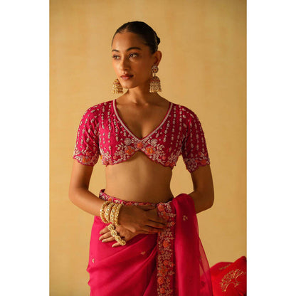 Sheetal Batra Afsa Saree With Stitched Blouse