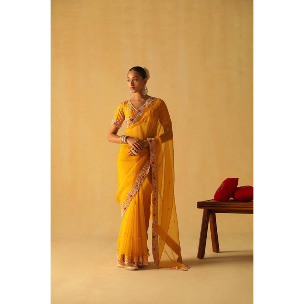 Sheetal Batra Afsa Saree With Stitched Blouse