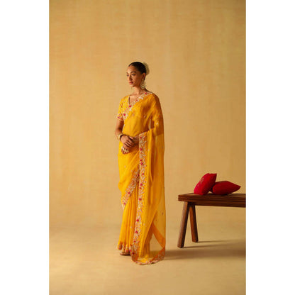 Sheetal Batra Afsa Saree With Stitched Blouse
