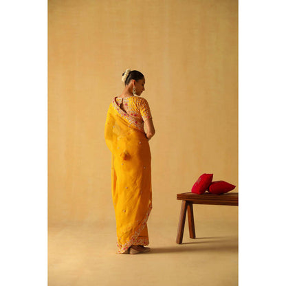Sheetal Batra Afsa Saree With Stitched Blouse