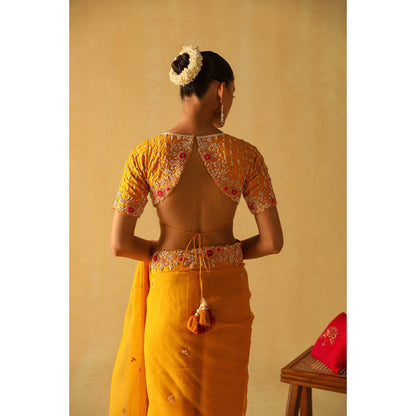 Sheetal Batra Afsa Saree With Stitched Blouse