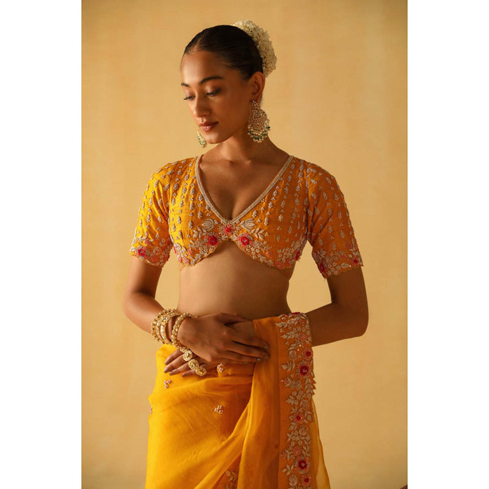 Sheetal Batra Afsa Saree With Stitched Blouse
