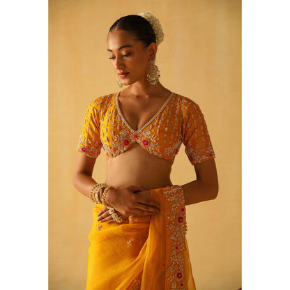 Sheetal Batra Afsa Saree With Stitched Blouse