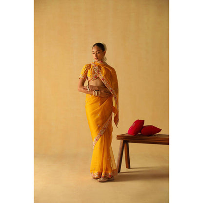 Sheetal Batra Afsa Saree With Stitched Blouse
