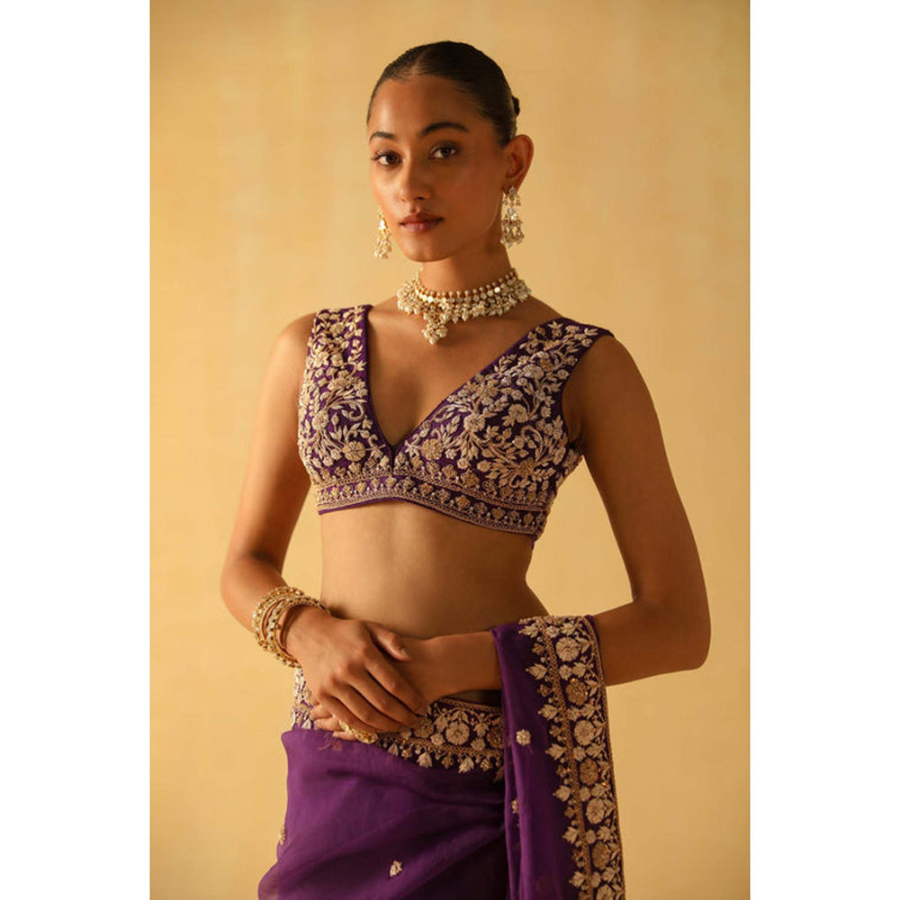 Sheetal Batra Hannah Saree With Stitched Blouse