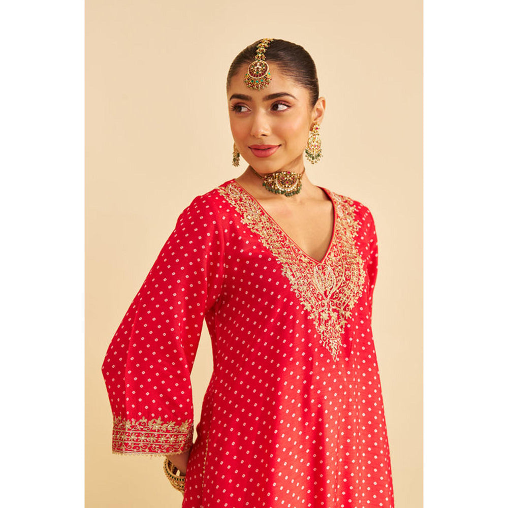 Sheetal Batra Zaliyah - Red Long Chauga With Salwar And Dupatta