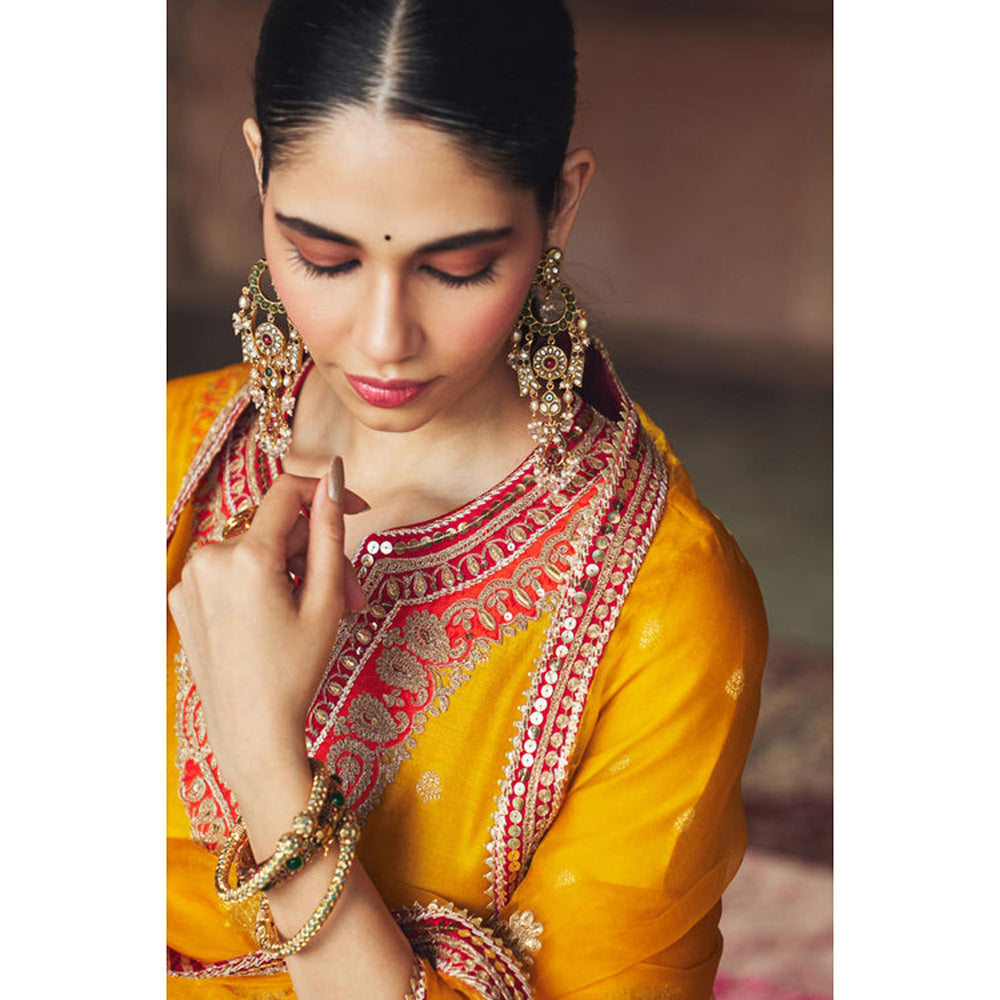 Sheetal Batra Hafsa - Mustard Chauga With Salwar