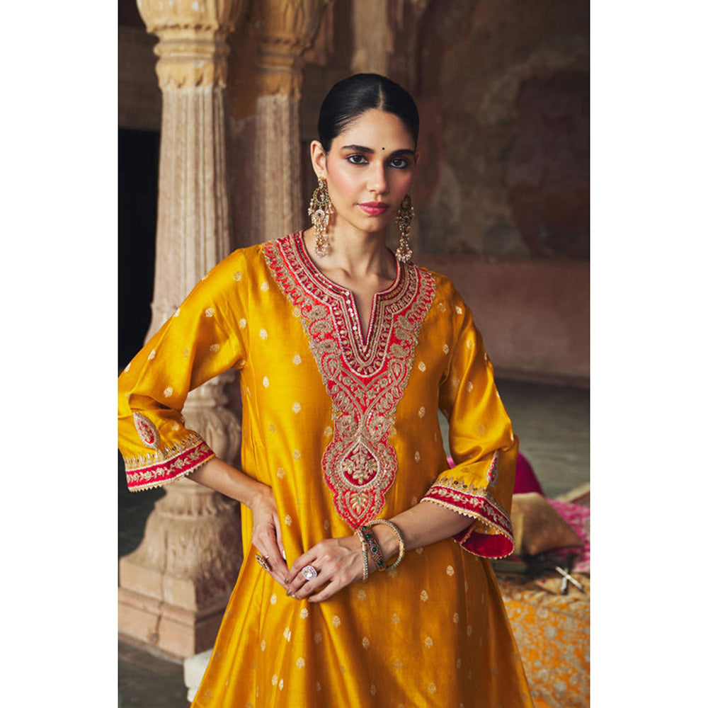 Sheetal Batra Hafsa - Mustard Chauga With Salwar And Dupatta