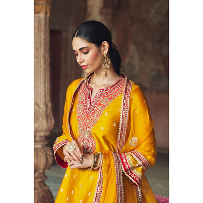 Sheetal Batra Hafsa - Mustard Chauga With Salwar And Dupatta