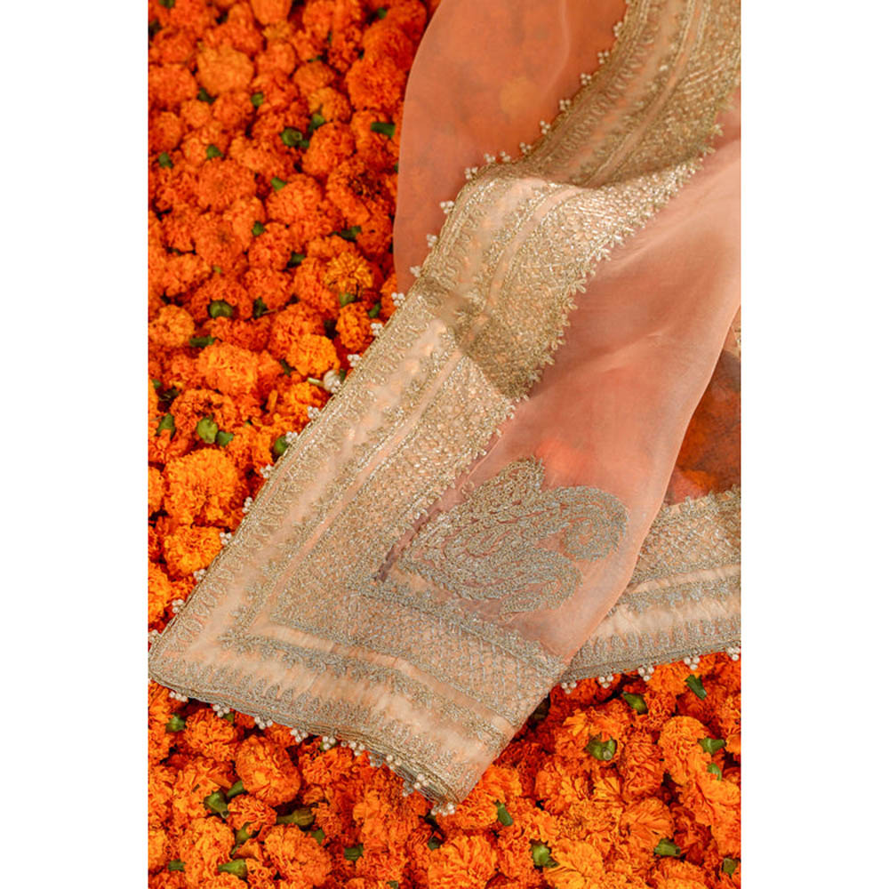 Sheetal Batra Embroidered Silk Organza Dupatta