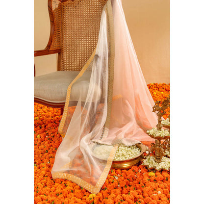 Sheetal Batra Light Silk Organza Dupatta