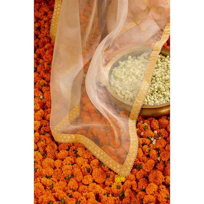 Sheetal Batra Light Silk Organza Dupatta