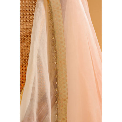 Sheetal Batra Light Silk Organza Dupatta