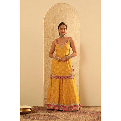 Sheetal Batra Tehreem - Kurta With Sharara And Dupatta