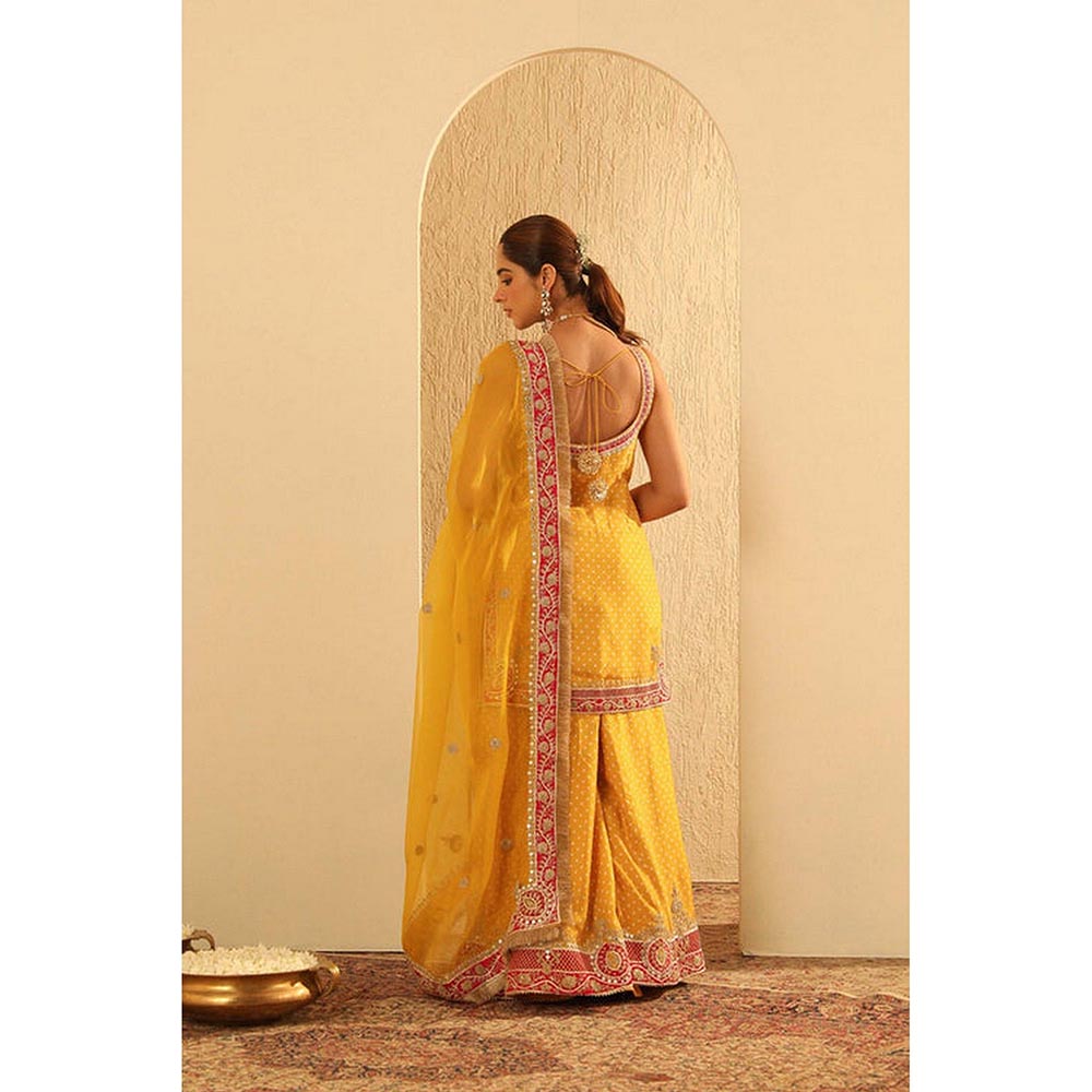 Sheetal Batra Tehreem - Kurta With Sharara And Dupatta