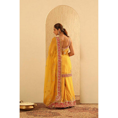 Sheetal Batra Tehreem - Kurta With Sharara And Dupatta