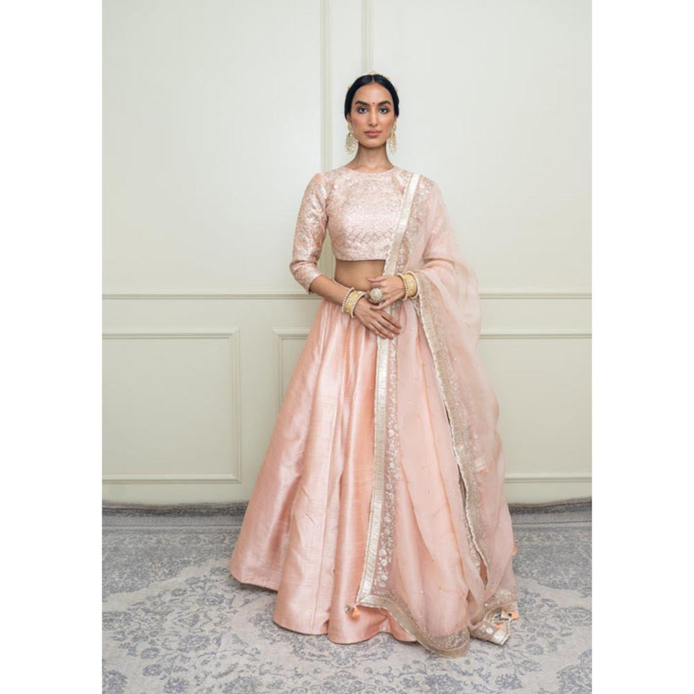 Sheetal Batra Aafiyah-Pearl Pink Tilla Embroidered Lehenga With Blouse And Dupatta Set