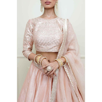 Sheetal Batra Aafiyah-Pearl Pink Tilla Embroidered Lehenga With Blouse And Dupatta Set