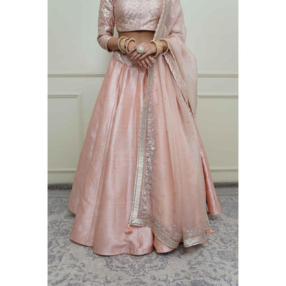 Sheetal Batra Aafiyah-Pearl Pink Tilla Embroidered Lehenga With Blouse And Dupatta Set