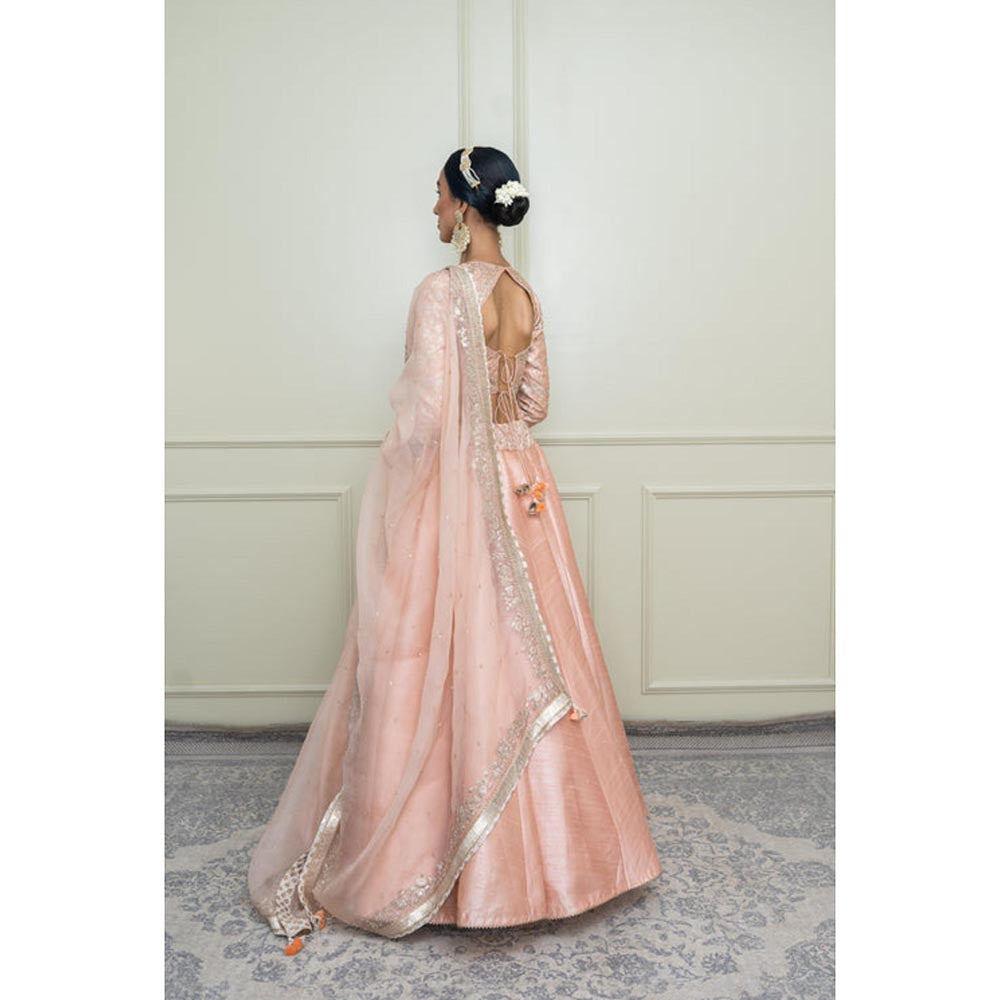 Sheetal Batra Aafiyah-Pearl Pink Tilla Embroidered Lehenga With Blouse And Dupatta Set