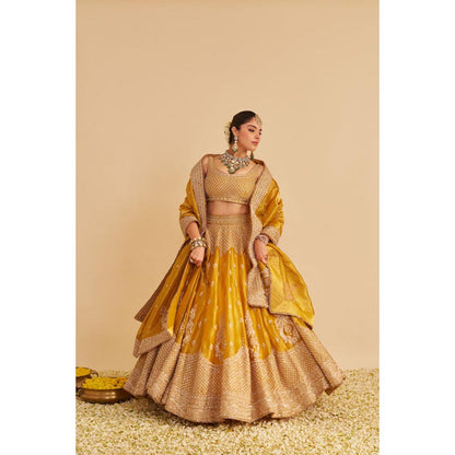 Sheetal Batra Aashina Mustard Lehenga With Blouse And Dupatta Set