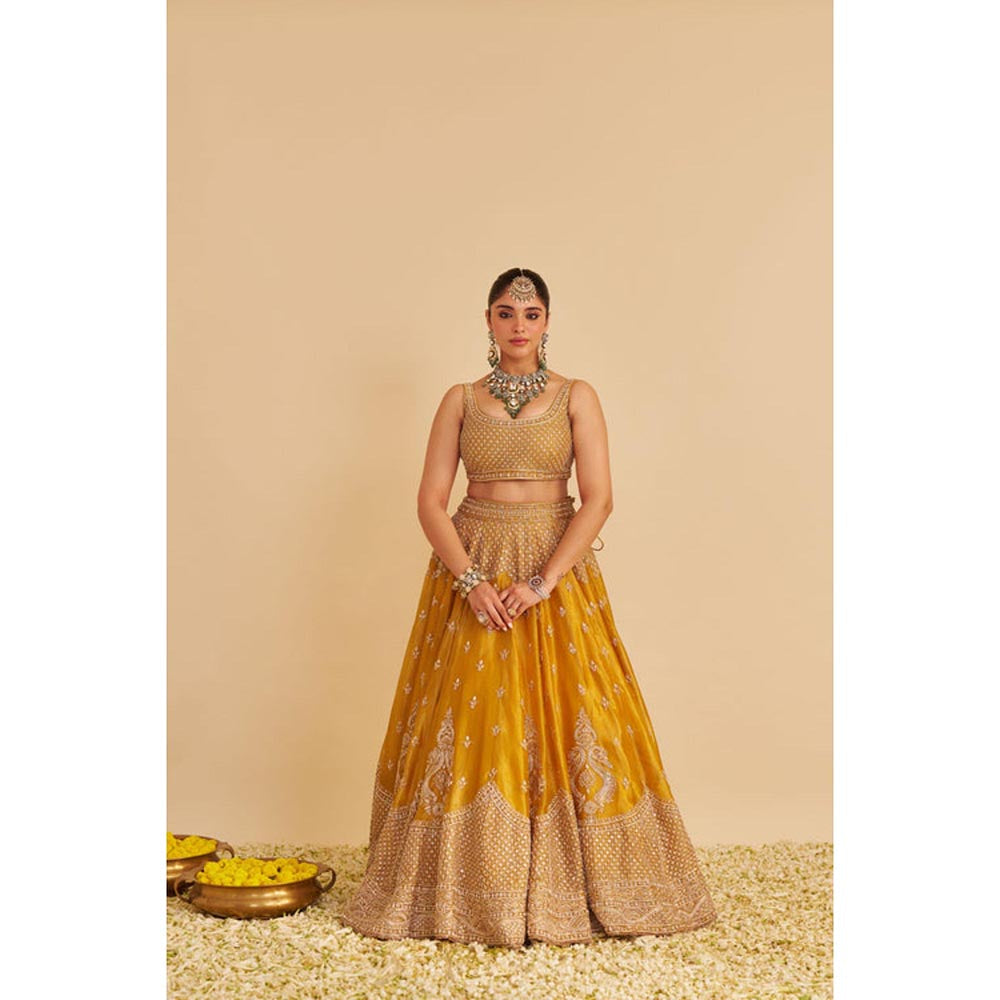 Sheetal Batra Aashina Mustard Lehenga With Blouse And Dupatta Set