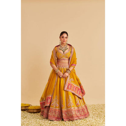 Sheetal Batra Amara - Mustard Lehenga With Blouse And Dupatta Set
