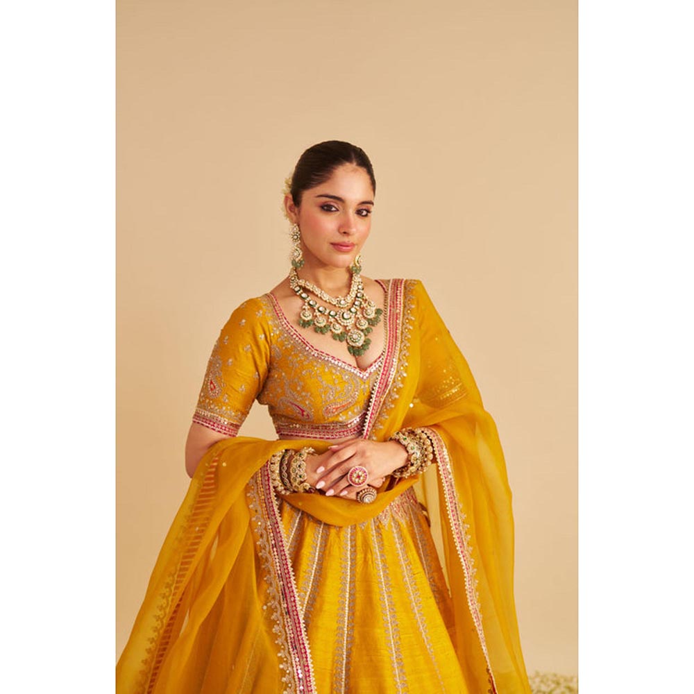 Sheetal Batra Amara - Mustard Lehenga With Blouse And Dupatta Set