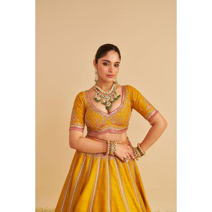 Sheetal Batra Amara - Mustard Lehenga With Blouse And Dupatta Set
