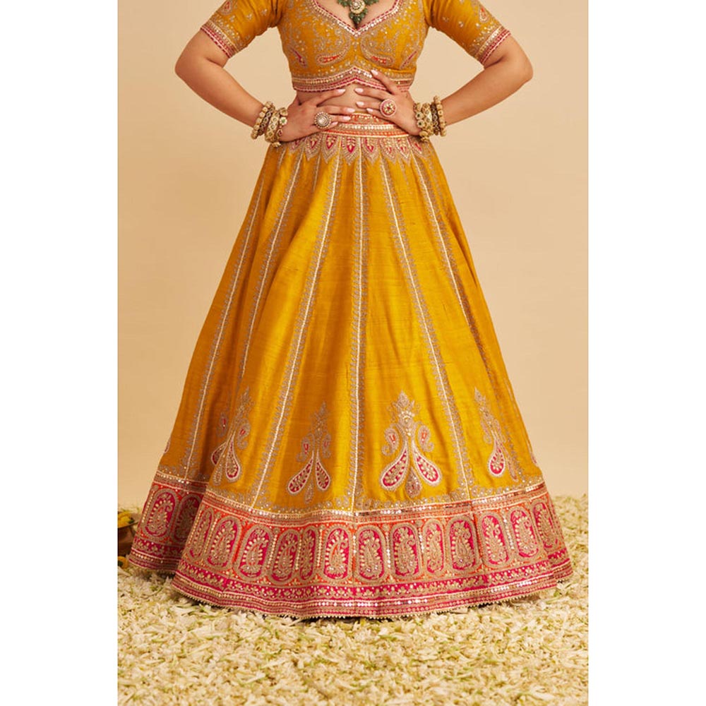 Sheetal Batra Amara - Mustard Lehenga With Blouse And Dupatta Set