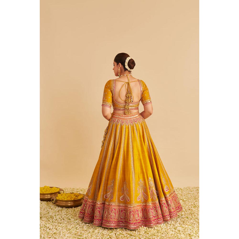 Sheetal Batra Amara - Mustard Lehenga With Blouse And Dupatta Set